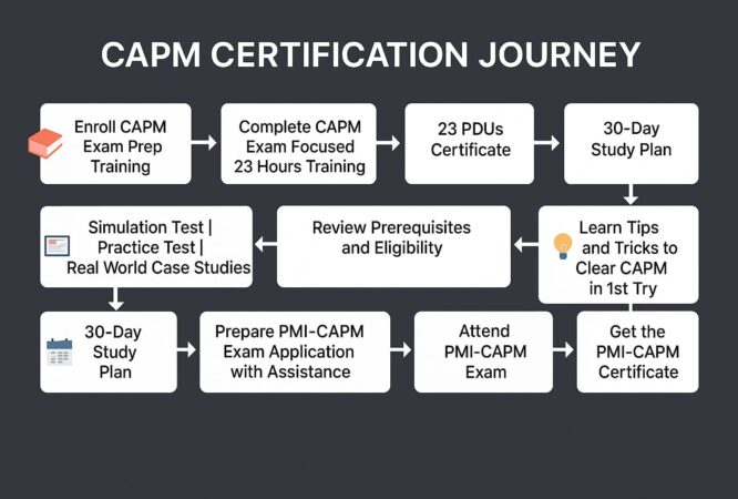 PMP Certification success path